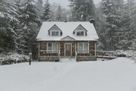 5 Winter Projects to Help You Get Ready for Spring Image